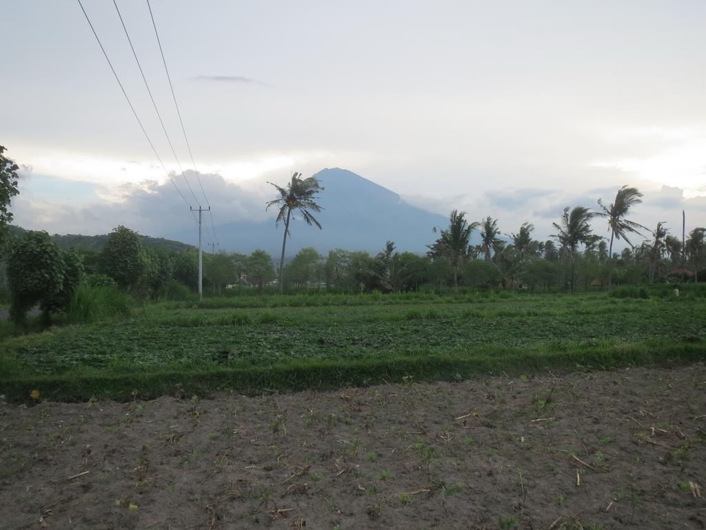 Mesari Homestay & Warung อาเม็ด ภายนอก รูปภาพ